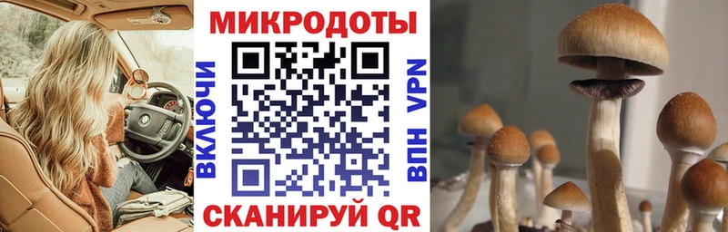 OMG ССЫЛКА  Сибай  Галлюциногенные грибы Cubensis 